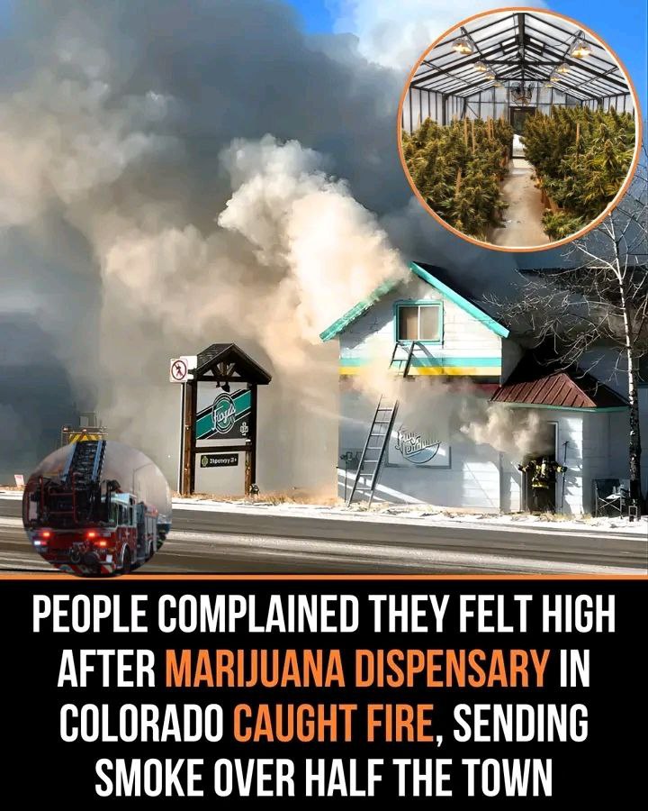 canna_2026-01-20_10-00-56