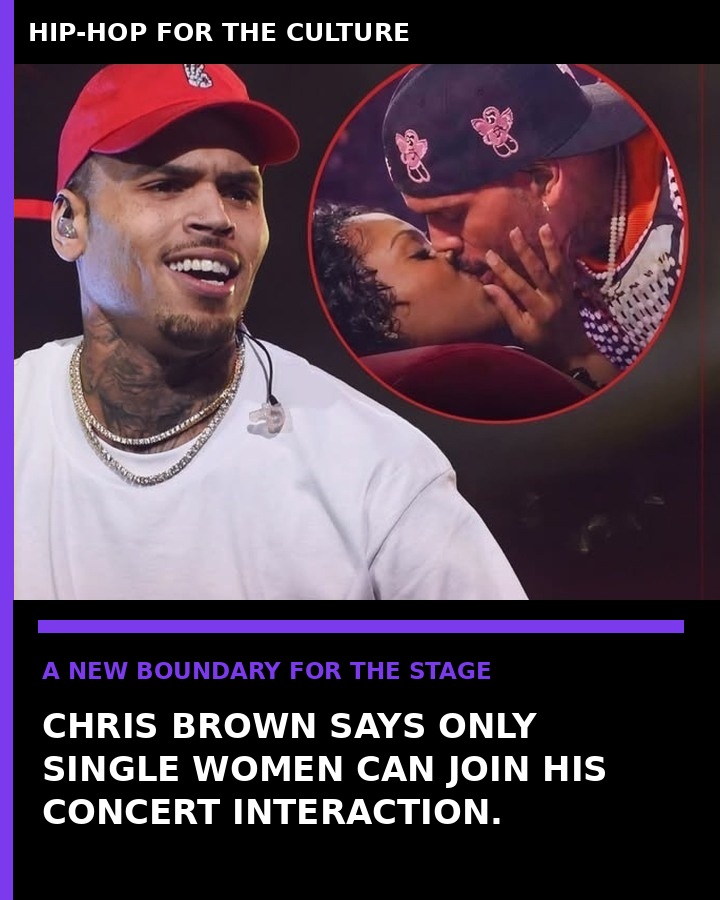 Chris Brown concert
