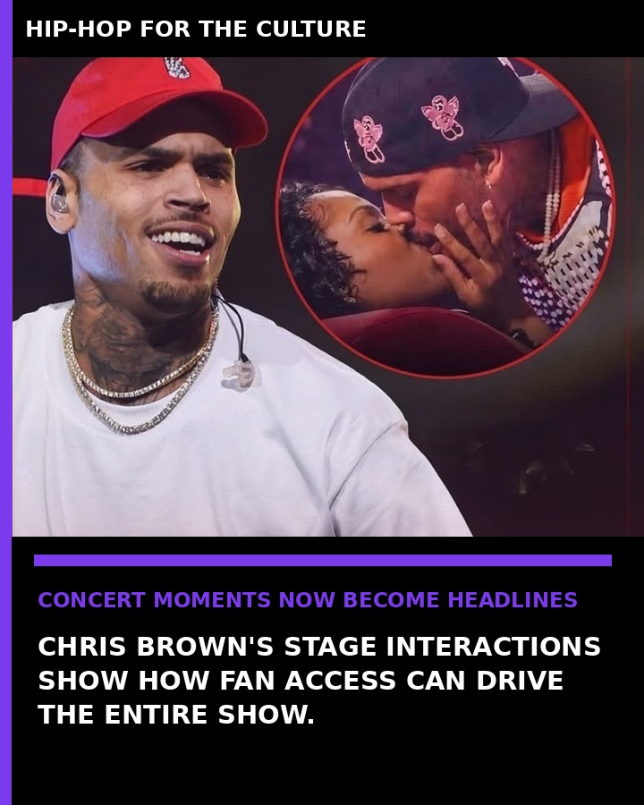 Chris Brown concert fan interaction