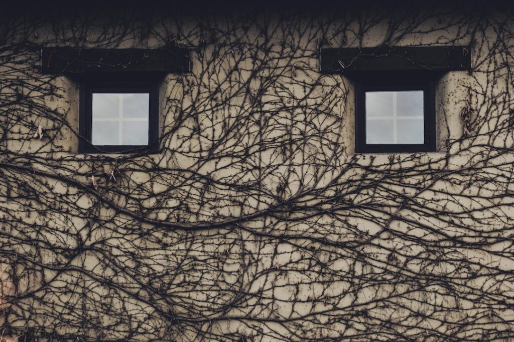 An illustrative example of a face-like pattern in an everyday object.