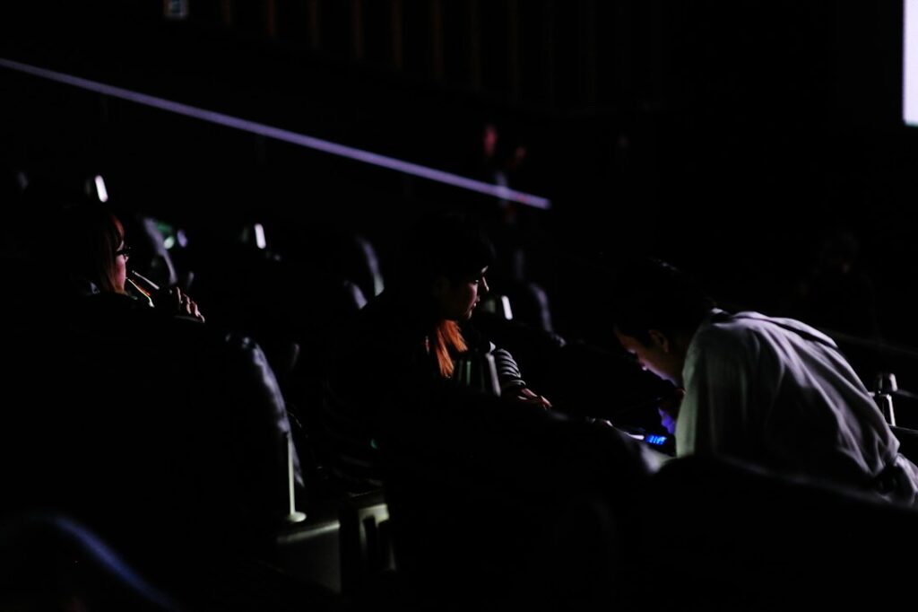Audience seated in cinema; illustrative, not audience at You Can See Everything documentary screening