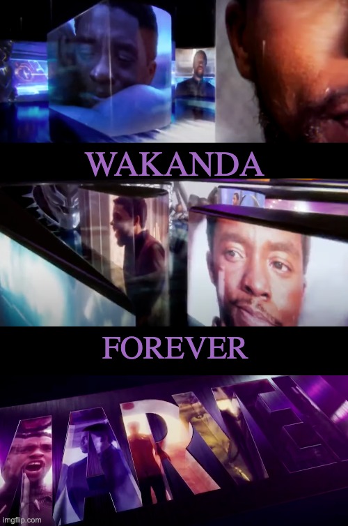 Wakanda Forever Black Panther fan meme